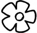 /album/flora/flor-8-jpg/